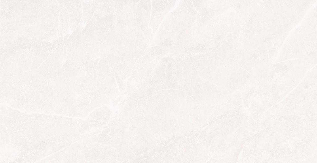 BL36313