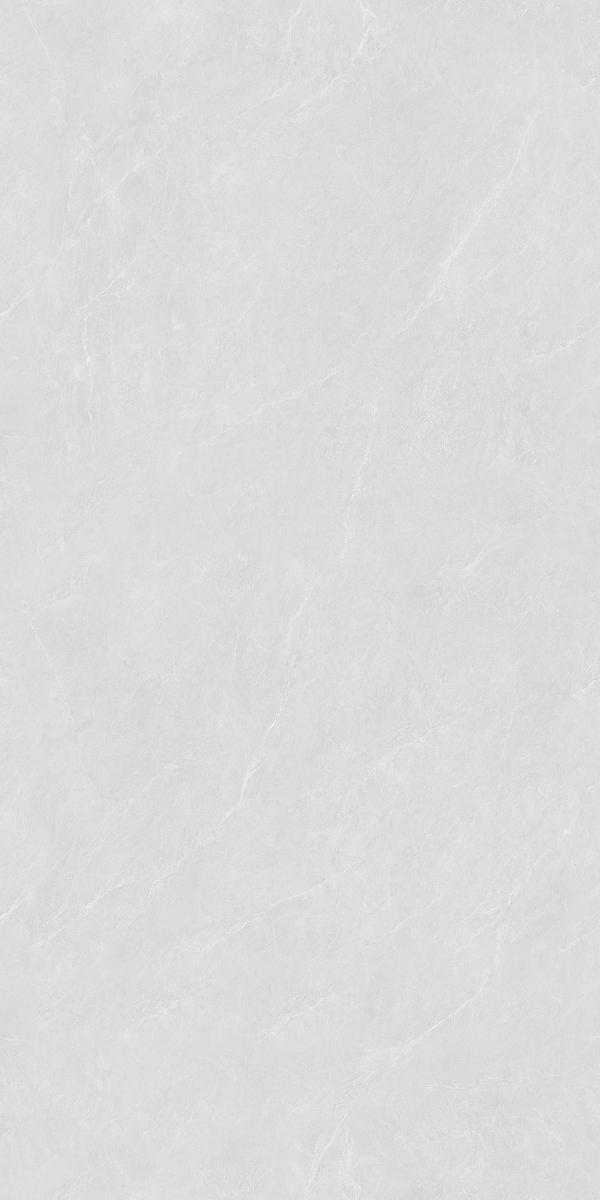 12663T