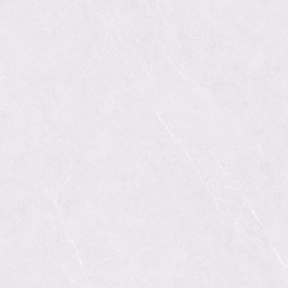 D5833