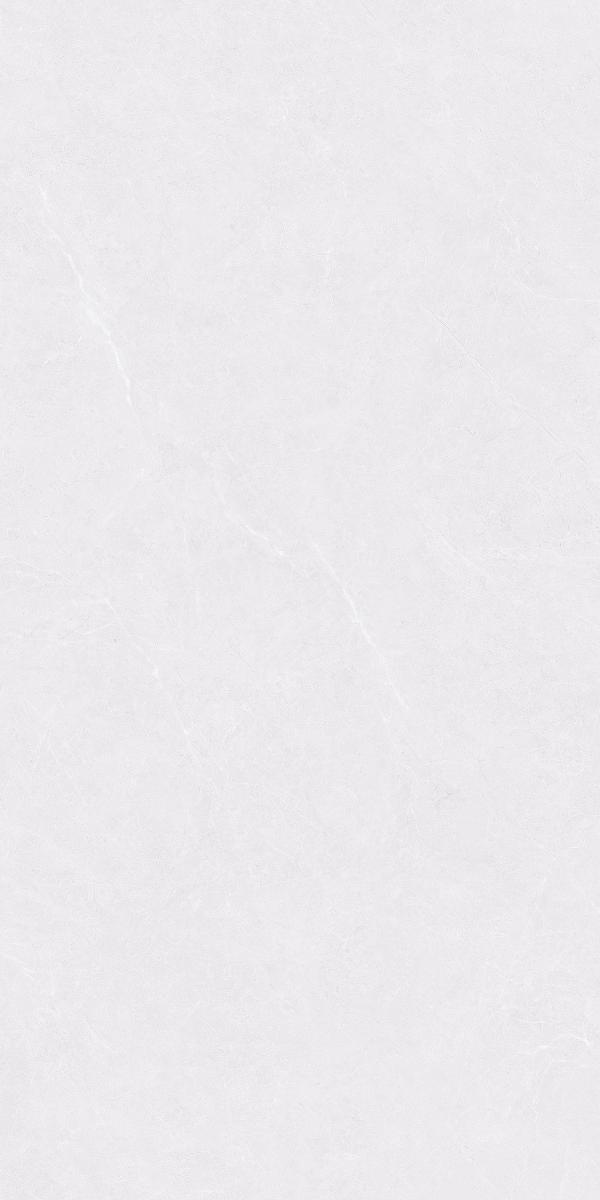 BL5833