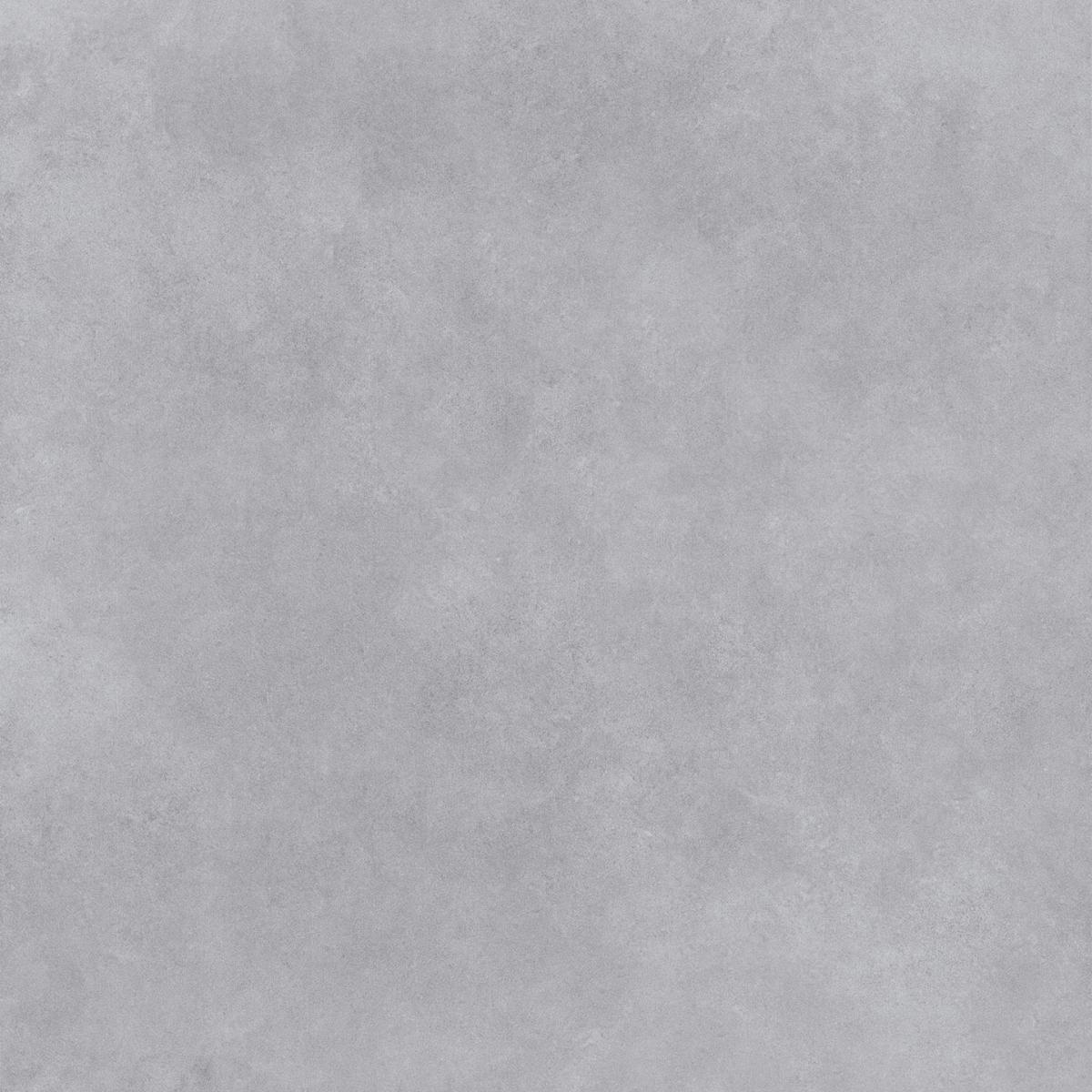 66F009